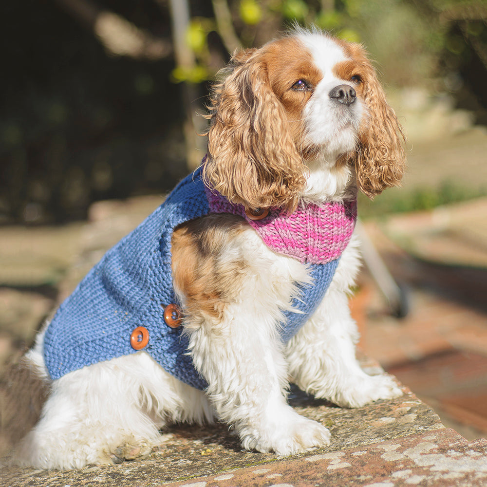 MADE TO ORDER Scottish Hand-Knit Buttoned Dog Sweater