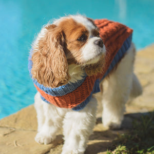 MADE TO ORDER Scottish Hand-Knit Slip-On Dog Sweater