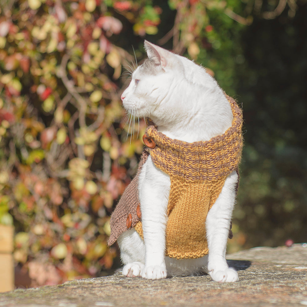 MADE TO ORDER Scottish Hand-Knit Buttoned Dog Sweater