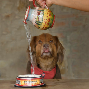 Handmade TuscanHound Ceramic Dog Bowls