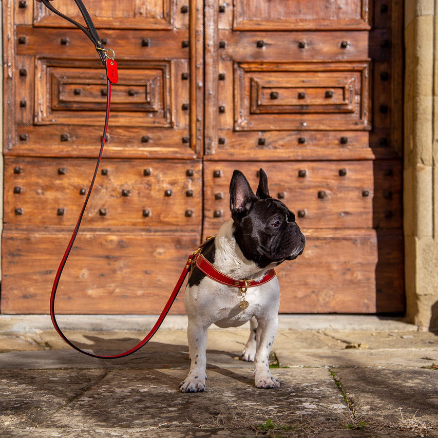 TuscanHound Signature guinzaglio in cuoio rosso e nero fatto a mano