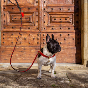 TuscanHound Signature guinzaglio in cuoio rosso e nero fatto a mano
